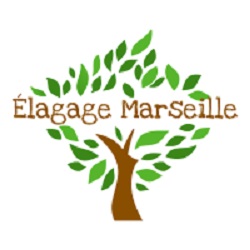 Élagueur Marseille